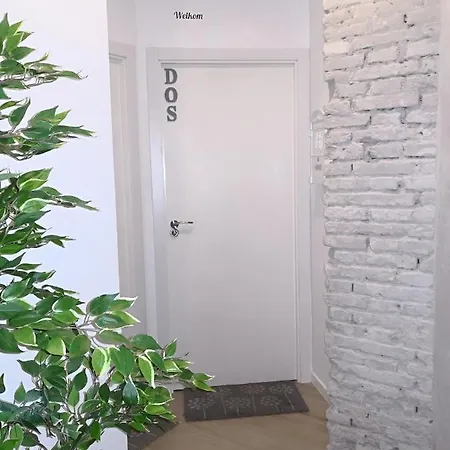 Bonito